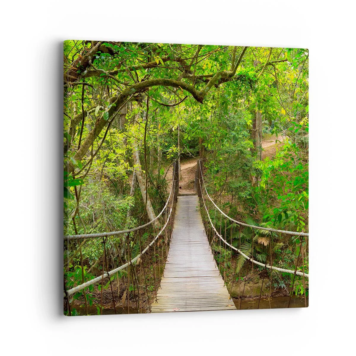 Lærredstryk - Billede på lærred - Fordi der vokser en slyngplante i haven - 40x40 cm