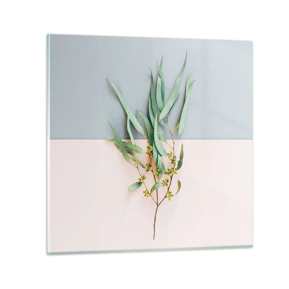 Billede på glas - Pastelfarvernes subtilitet - 60x60 cm