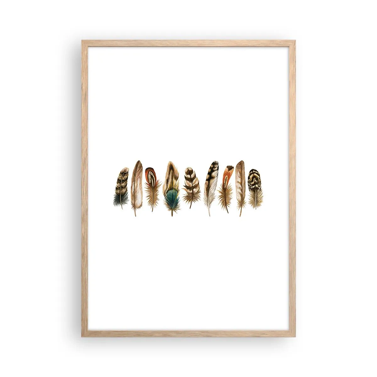 Plakat i ramme af lyst egetræ - Variation med fjer - 50x70 cm