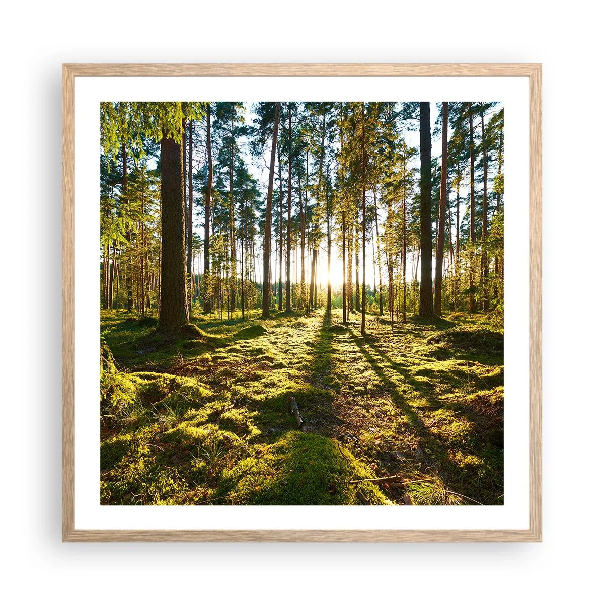 Plakat i ramme af lyst egetræ - ...Bag de syv skove - 60x60 cm