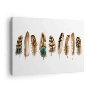 Lærredstryk - Billede på lærred - Dekorativt motiv af en samling af forskellige fjer - 70x50cm - Variation med fjer - Moderne vægdekoration til stue og soveværelse ARTTOR