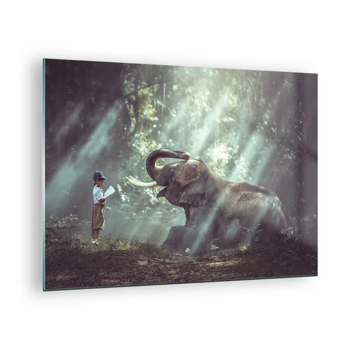 Billede på glas - En dreng med en bog og en elefant i en skovomgivelse - 70x50cm - Og hør her... - Moderne vægdekoration til stue og soveværelse ARTTOR