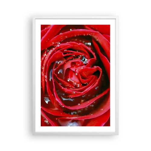 Plakat i hvid ramme - I dråber af dug - 50x70 cm