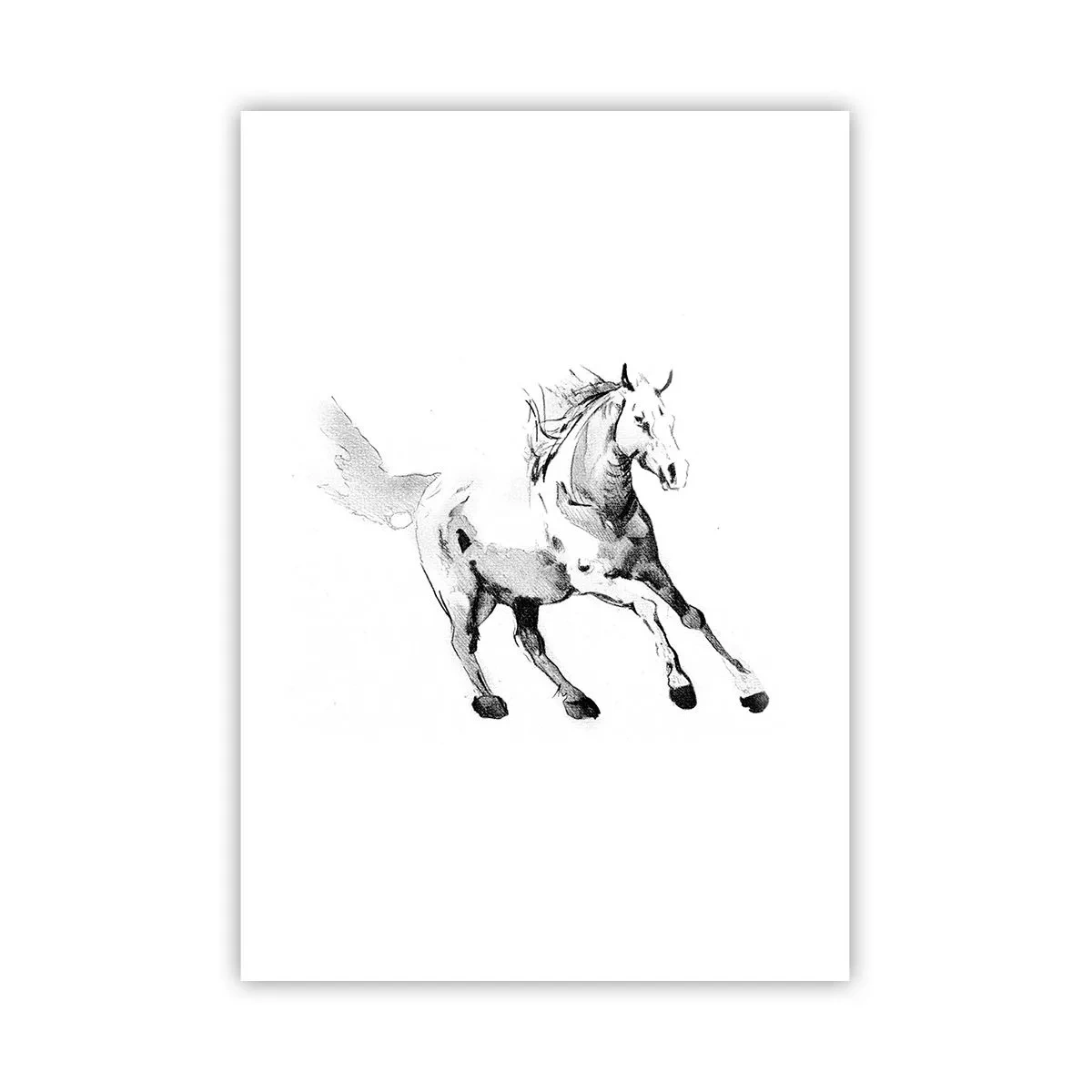 Plakat - Utæmmet sjæl - 70x100 cm
