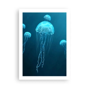 Plakat - Havets dans - 50x70 cm