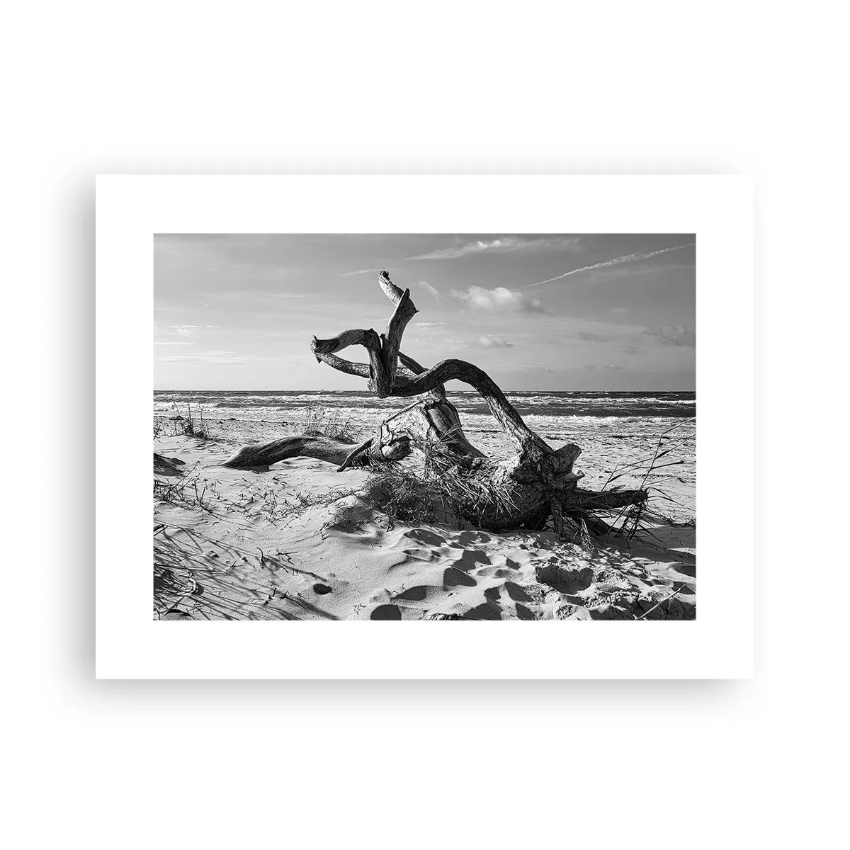 Plakat - Havets skulptur - 40x30 cm