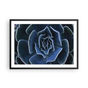 Plakat i sort ramme - Ørkenblomst - 70x50 cm