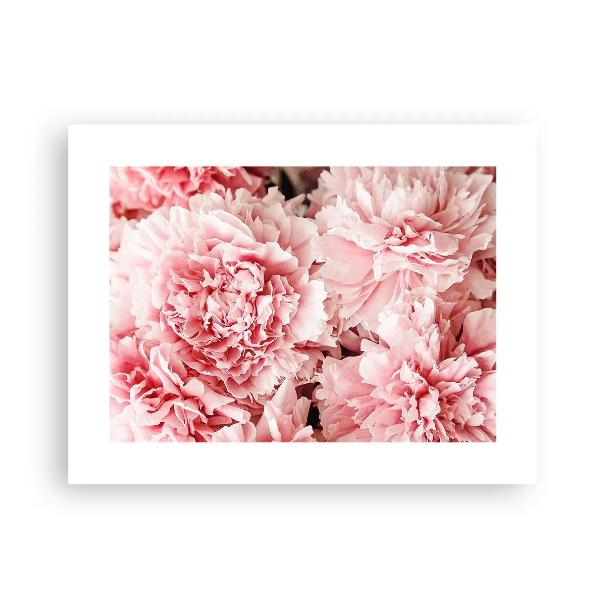 Plakat - Lyserød drøm - 40x30 cm