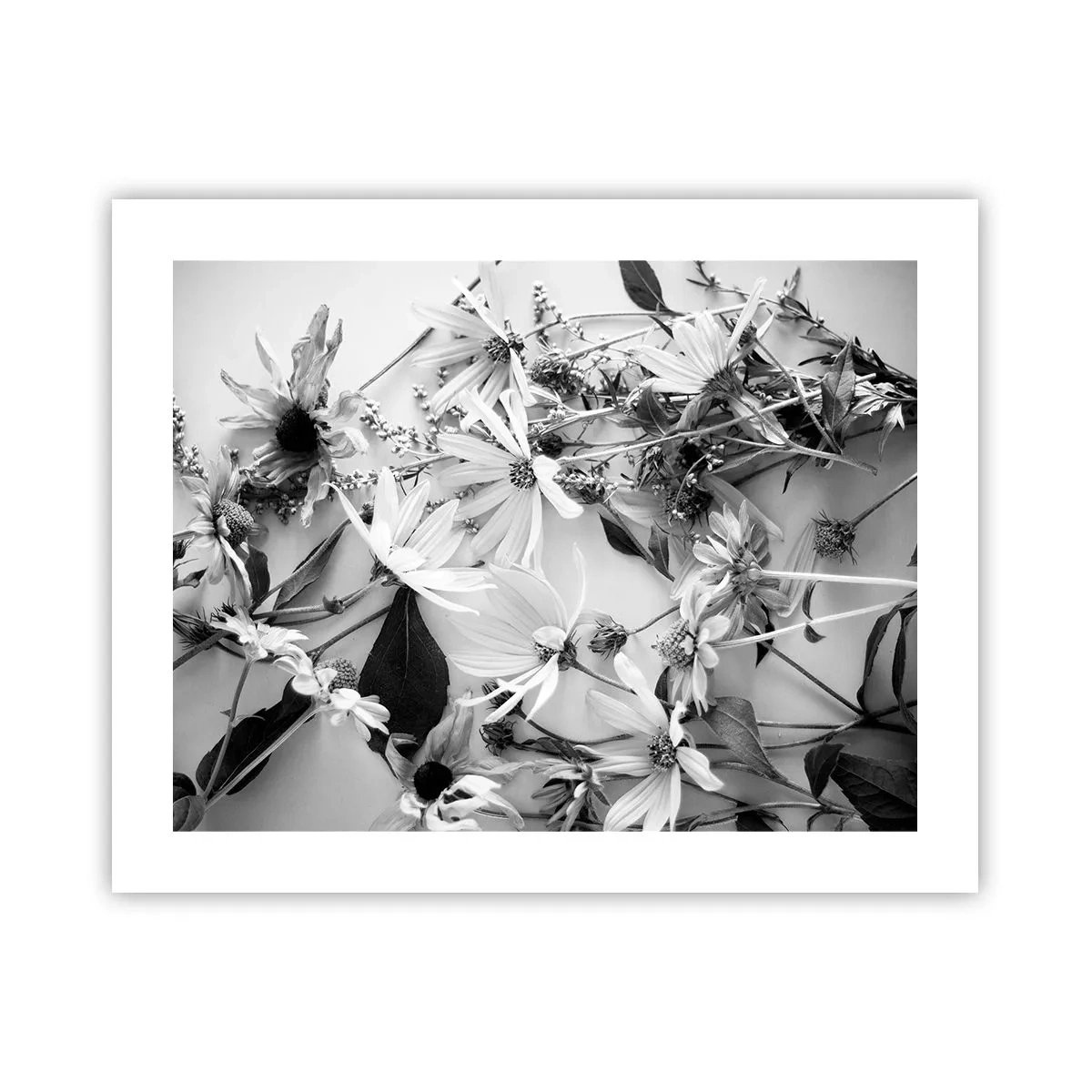 Plakat - Blomster uden buket - 50x40 cm