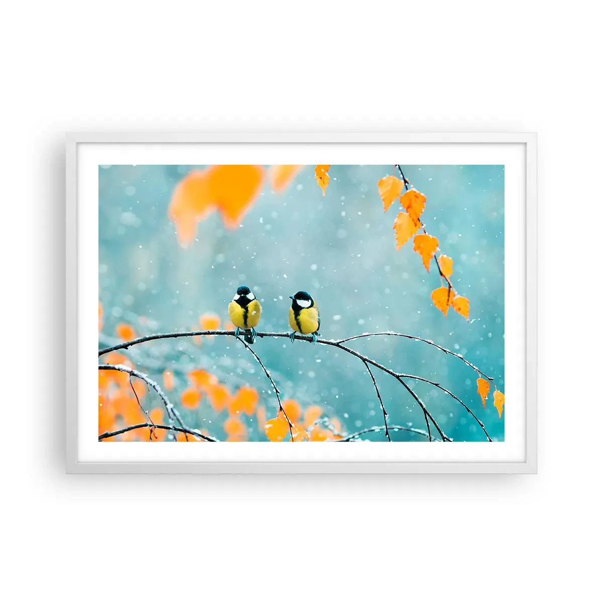 Plakat i hvid ramme - Sladder om fugle - 70x50 cm