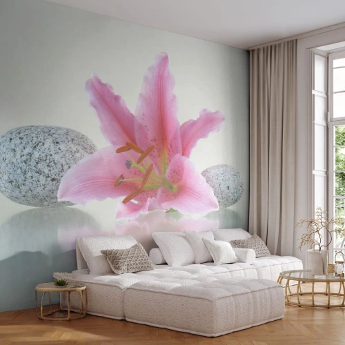 Fototapet Standard Eco - Et studie i rosa, grå og hvid - Blomster, Lily, Sten - 250x175 cm
