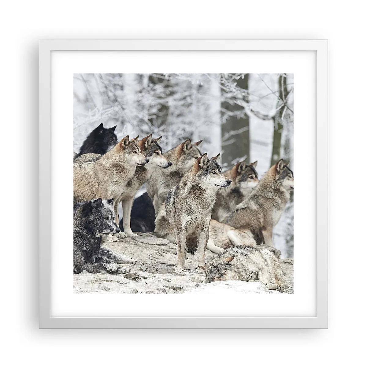 Plakat i hvid ramme - Familie og venner - 40x40 cm