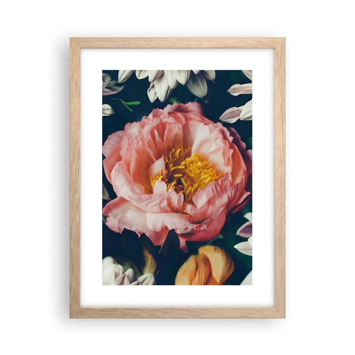 Plakat i ramme af lyst egetræ - Med barok pragt - 30x40 cm