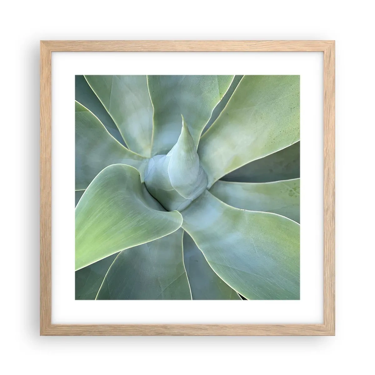 Plakat i ramme af lyst egetræ - Den grønne fødsel - 40x40 cm