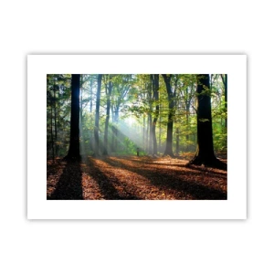 Plakat - Lys og skygger - 40x30 cm