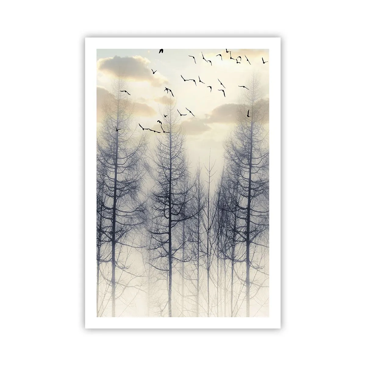 Plakat - Skovånder - 61x91 cm