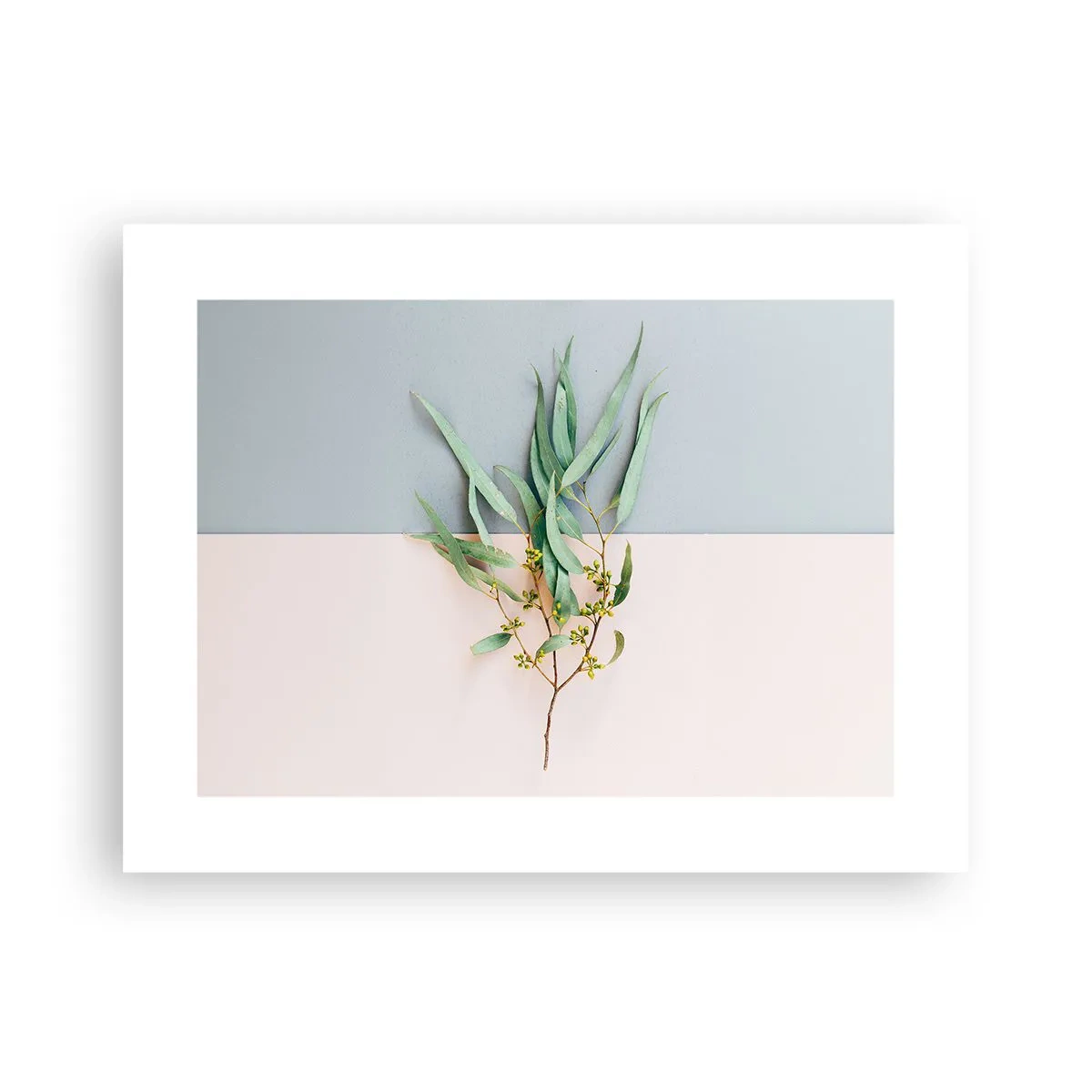 Plakat - Pastelfarvernes subtilitet - 40x30 cm