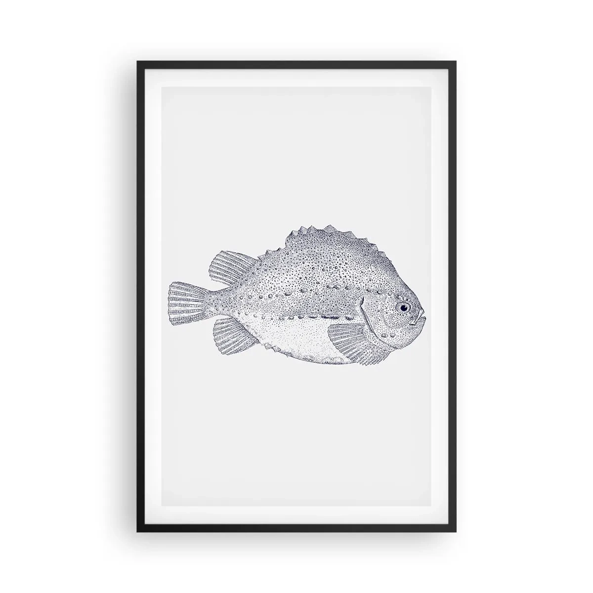 Plakat i sort ramme - Til naturforskerens album - 61x91 cm