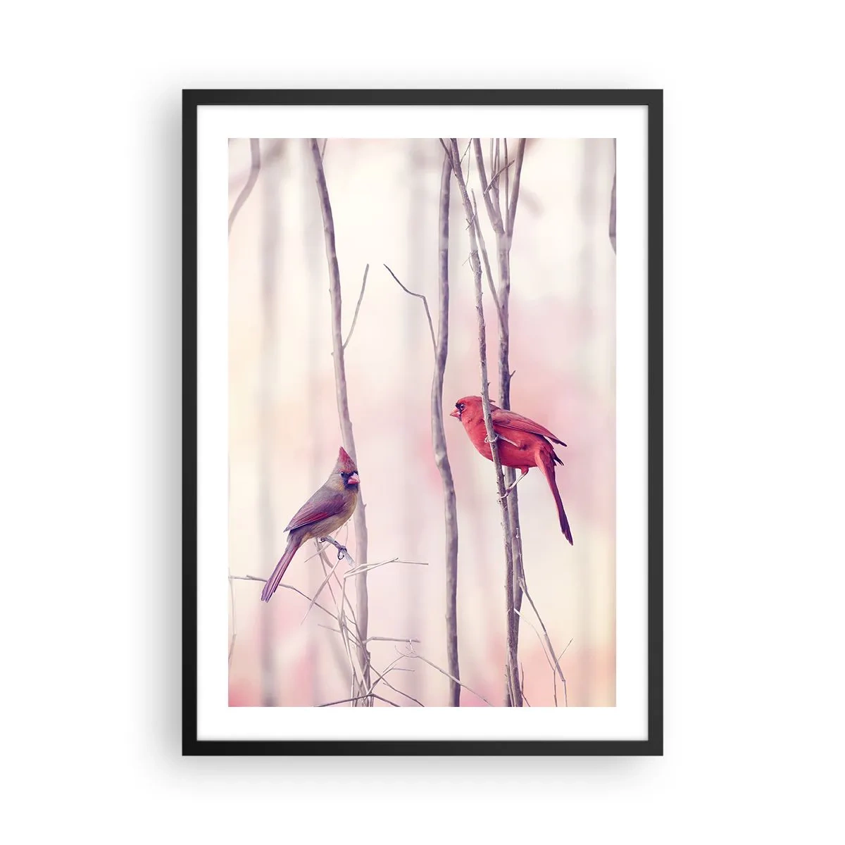 Plakat i sort ramme - Et par kardinaler mod en baggrund af fine grene - 50x70cm - Fortællingen om den lyserøde skov - Moderne vægdekoration til stue og soveværelse ARTTOR