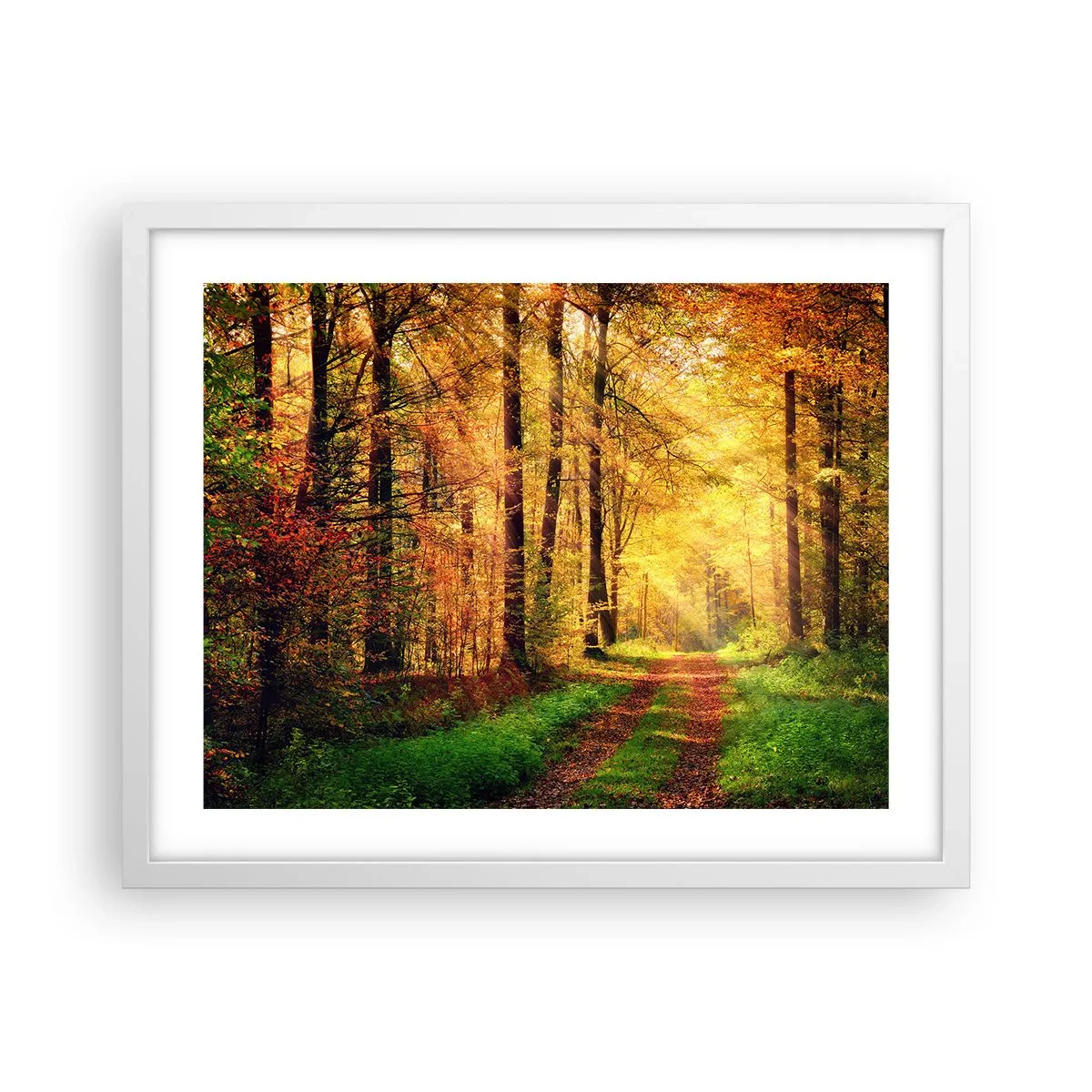 Plakat i hvid ramme - Skovgylden stilhed - 50x40 cm