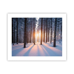 Plakat - Klart i sort og hvidt - 50x40 cm