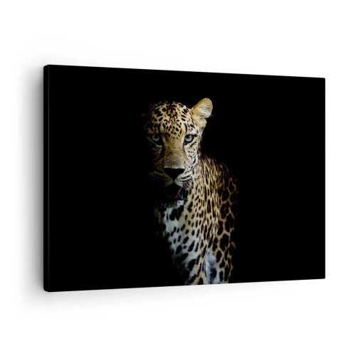 Lærredstryk - Billede på lærred - En leopard på en mørk baggrund med et intenst blik - 70x50cm - Mørk skønhed - Moderne vægdekoration til stue og soveværelse ARTTOR
