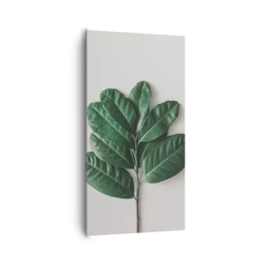 Lærredstryk - Billede på lærred - Tegning af selve naturen - 65x120 cm