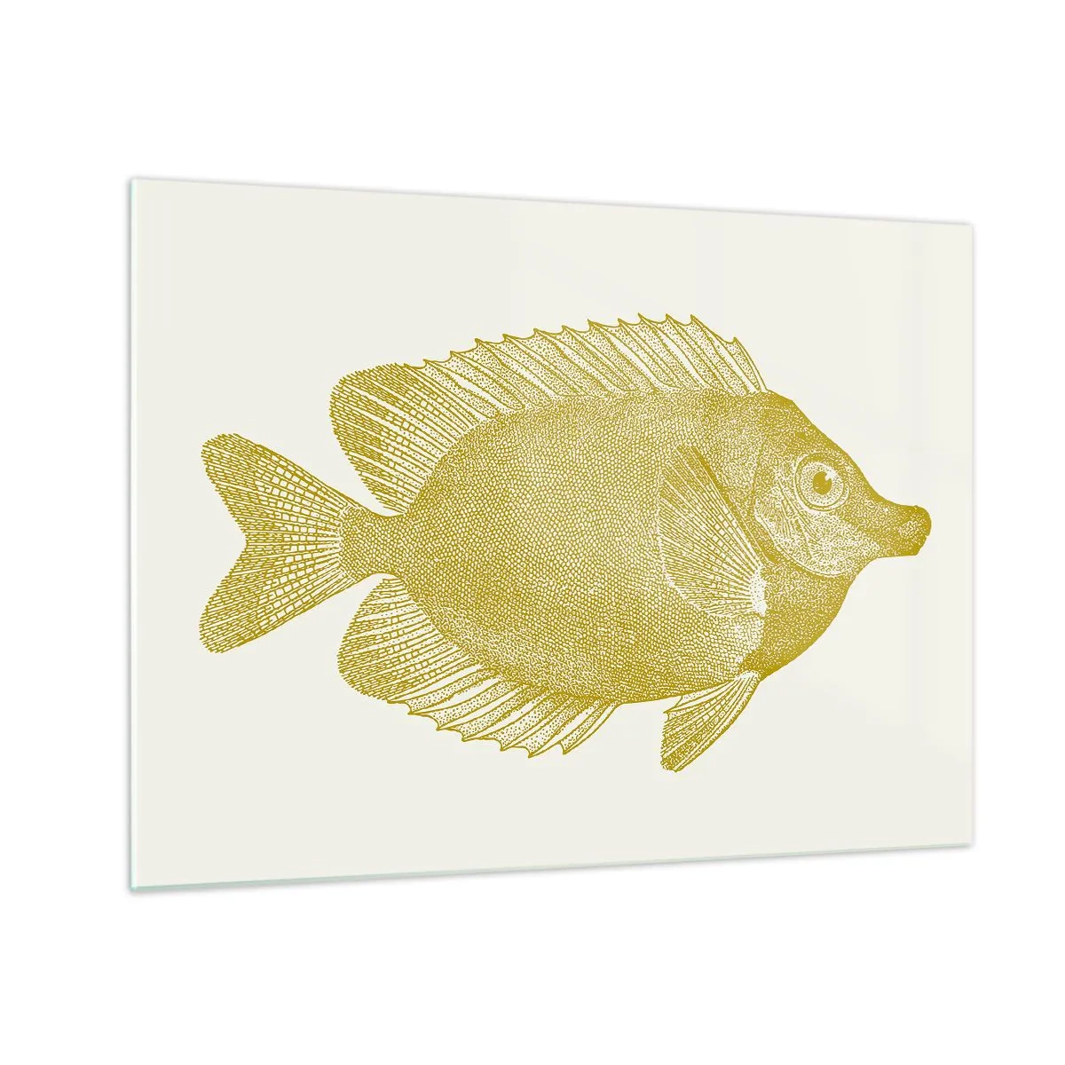 Billede på glas - Vintage guldfisk på en lys baggrund - 70x50cm - Fisk og det er det - Moderne vægdekoration til stue og soveværelse ARTTOR