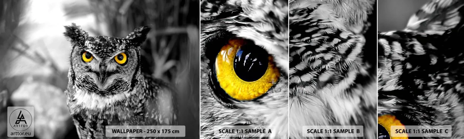 Fototapet Prøve Standard Eco - Intet kan skjules - Fugle, Ugle, Natur - 100x30 cm