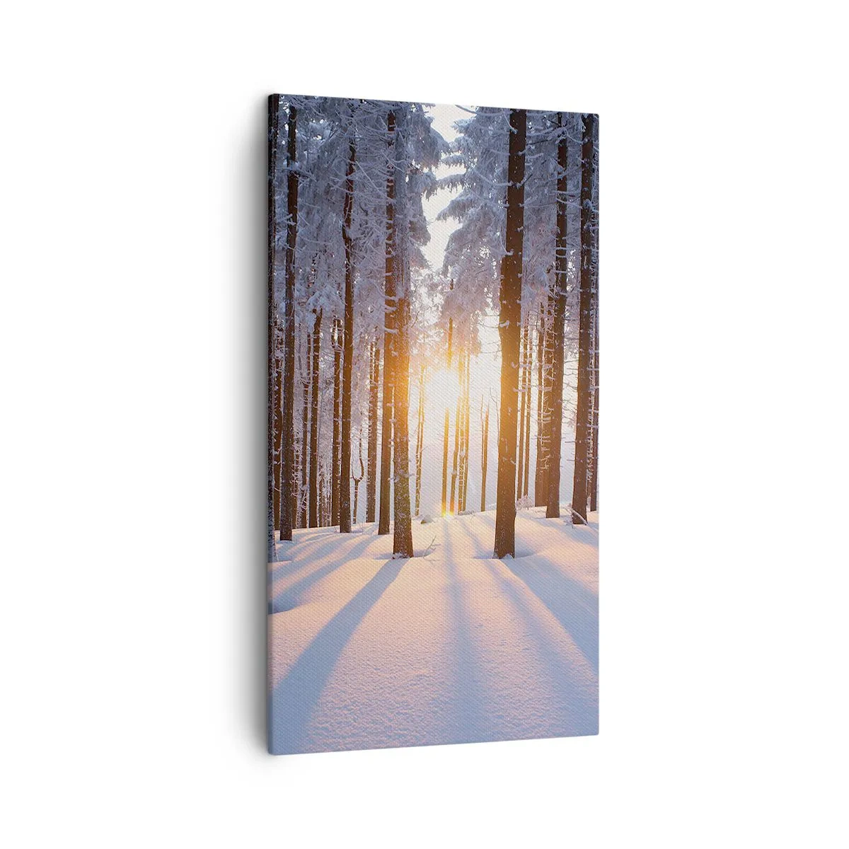 Lærredstryk - Billede på lærred - Klart i sort og hvidt - 45x80 cm