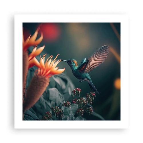 Plakat - Et virkelig farverigt liv - 50x50 cm