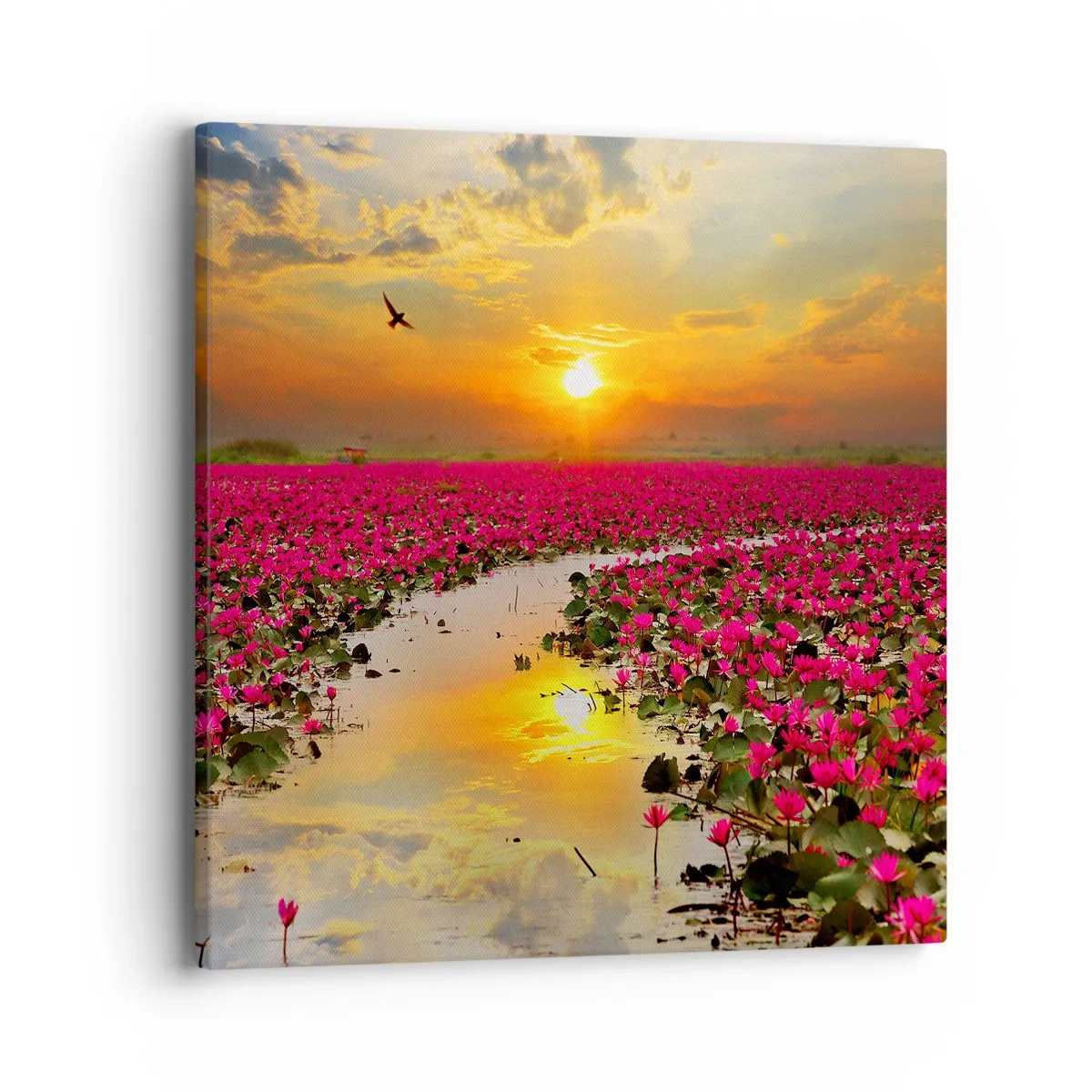 Lærredstryk - Billede på lærred - Søens hemmelige liv - 40x40 cm