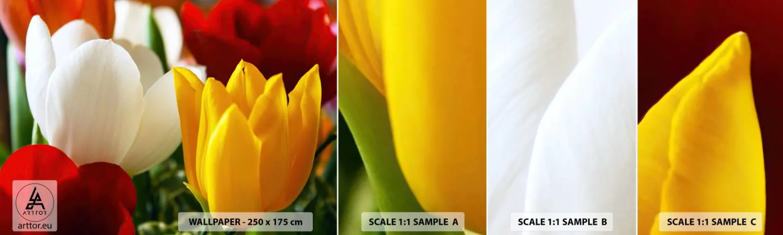 Prøve Fototapet Selvklæbende Deluxe Sticker - Tulipanfeber - Blomster, Tulipaner, Buket blomster - 100x30 cm