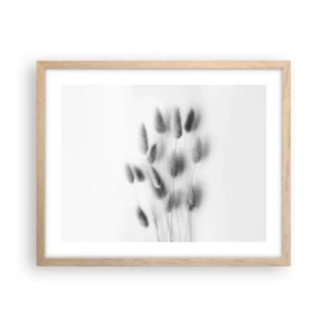 Plakat i ramme af lyst egetræ - Dens bløde græs - 50x40 cm