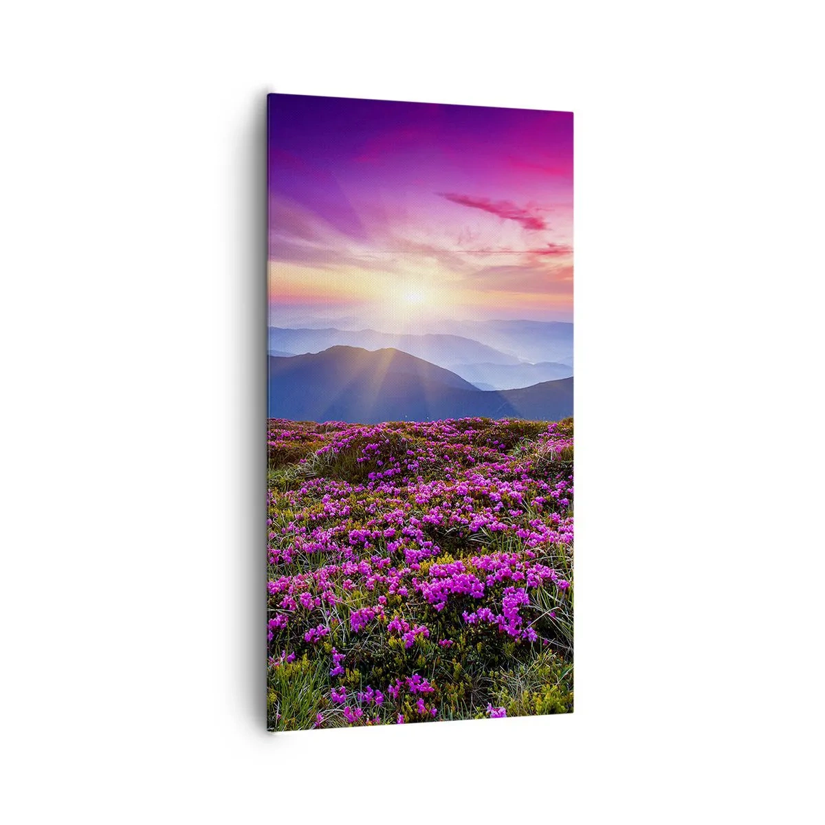 Lærredstryk - Billede på lærred - Urter duftede friske bundter fra niw - 65x120 cm