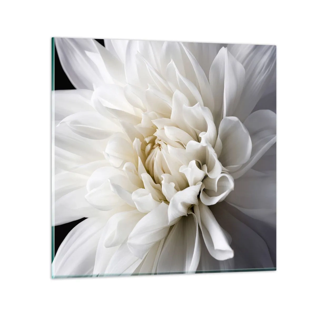 Billede på glas - Morgenbrud - 40x40 cm