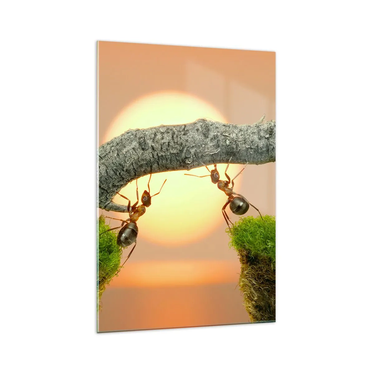 Billede på glas - Glædeligt, fælles arbejde - 70x100 cm