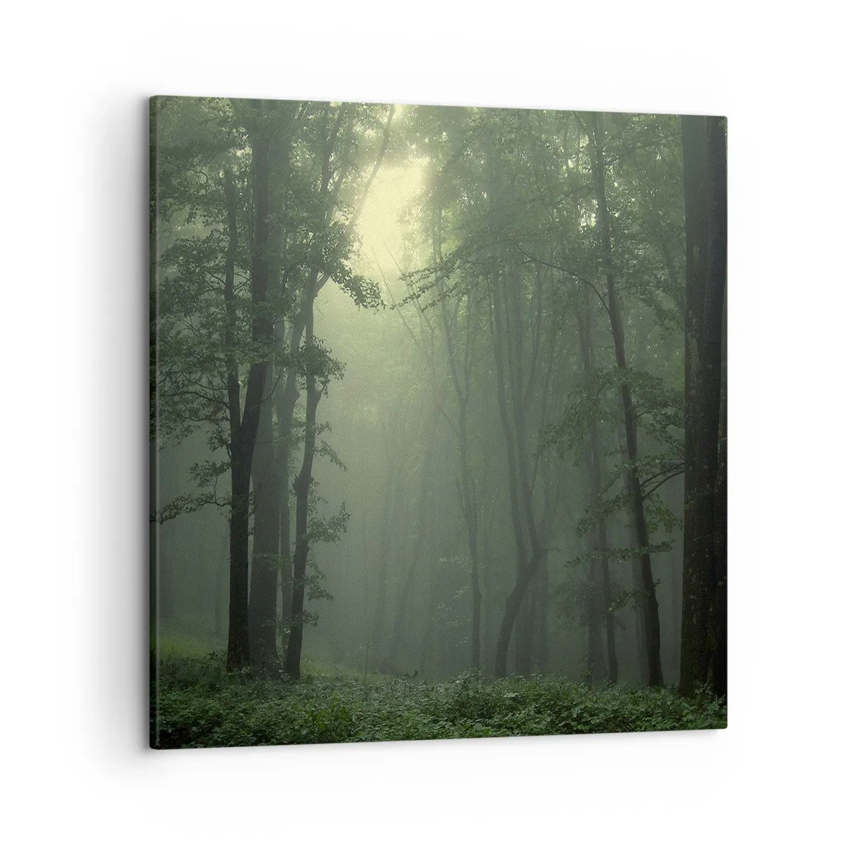Lærredstryk - Billede på lærred - Før han vågner op - 50x50 cm