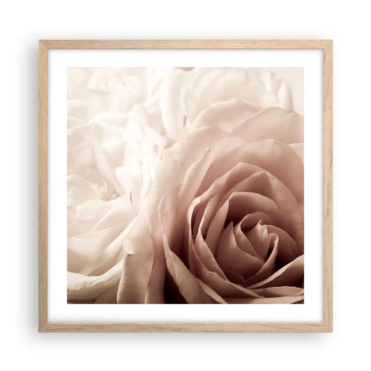 Plakat i ramme af lyst egetræ - I rosens hjerte - 50x50 cm