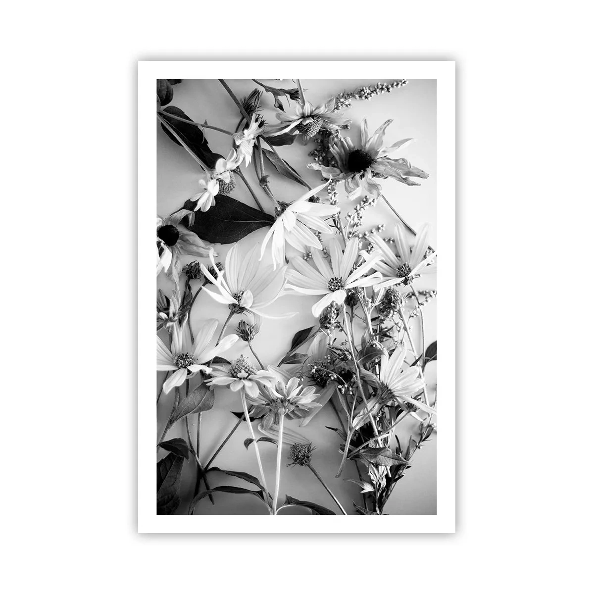 Plakat - Blomster uden buket - 61x91 cm