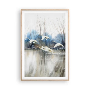 Plakat i ramme af lyst egetræ - Som i en fortælling om vilde svaner - 61x91 cm