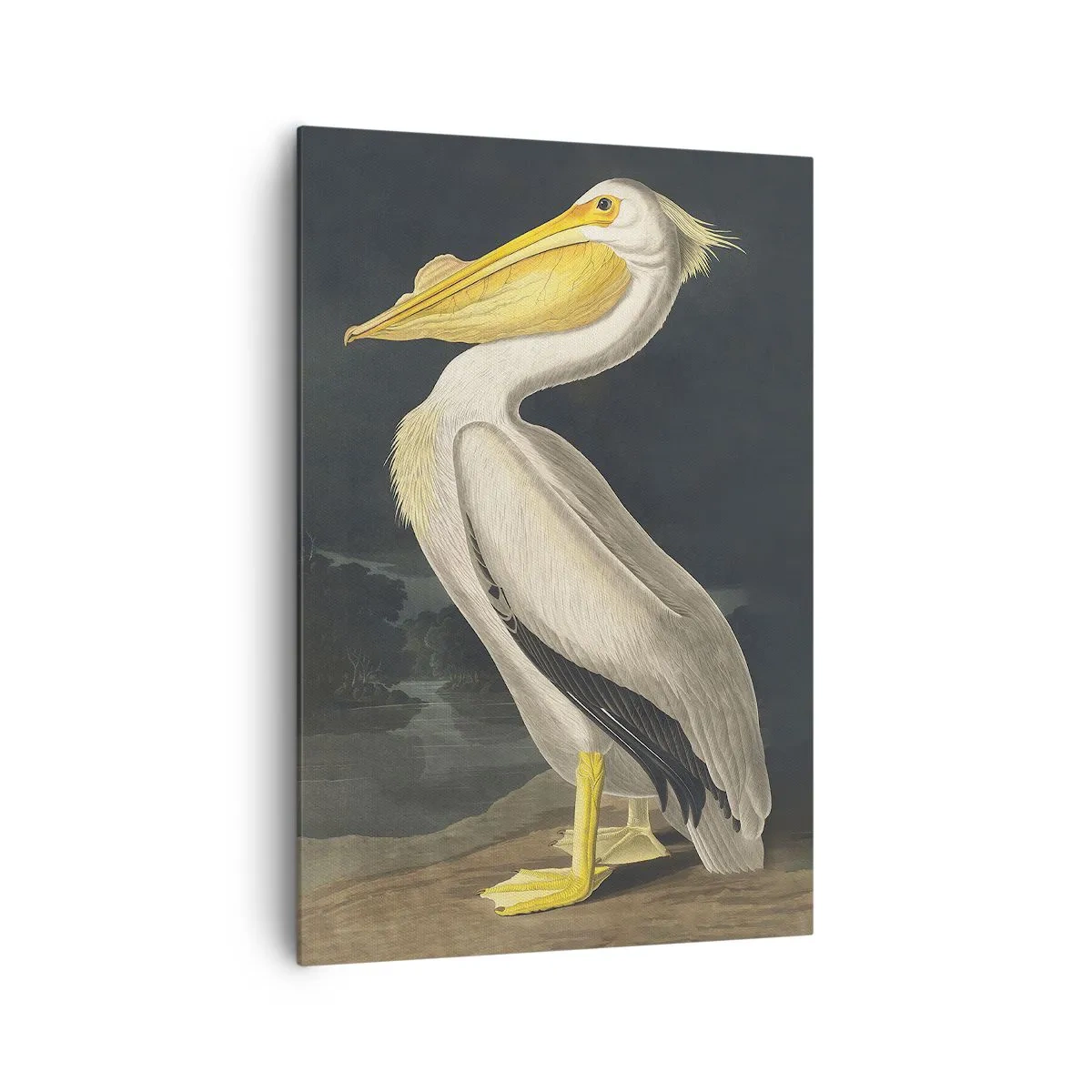 Lærredstryk - Billede på lærred - Fuld af stolthed - 70x100 cm