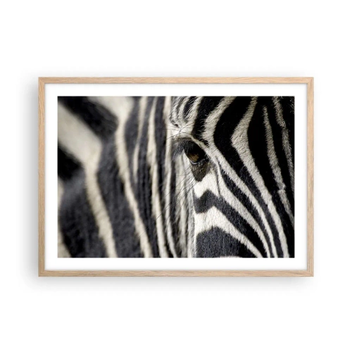 Plakat i ramme af lyst egetræ - Stribet portræt - 70x50 cm