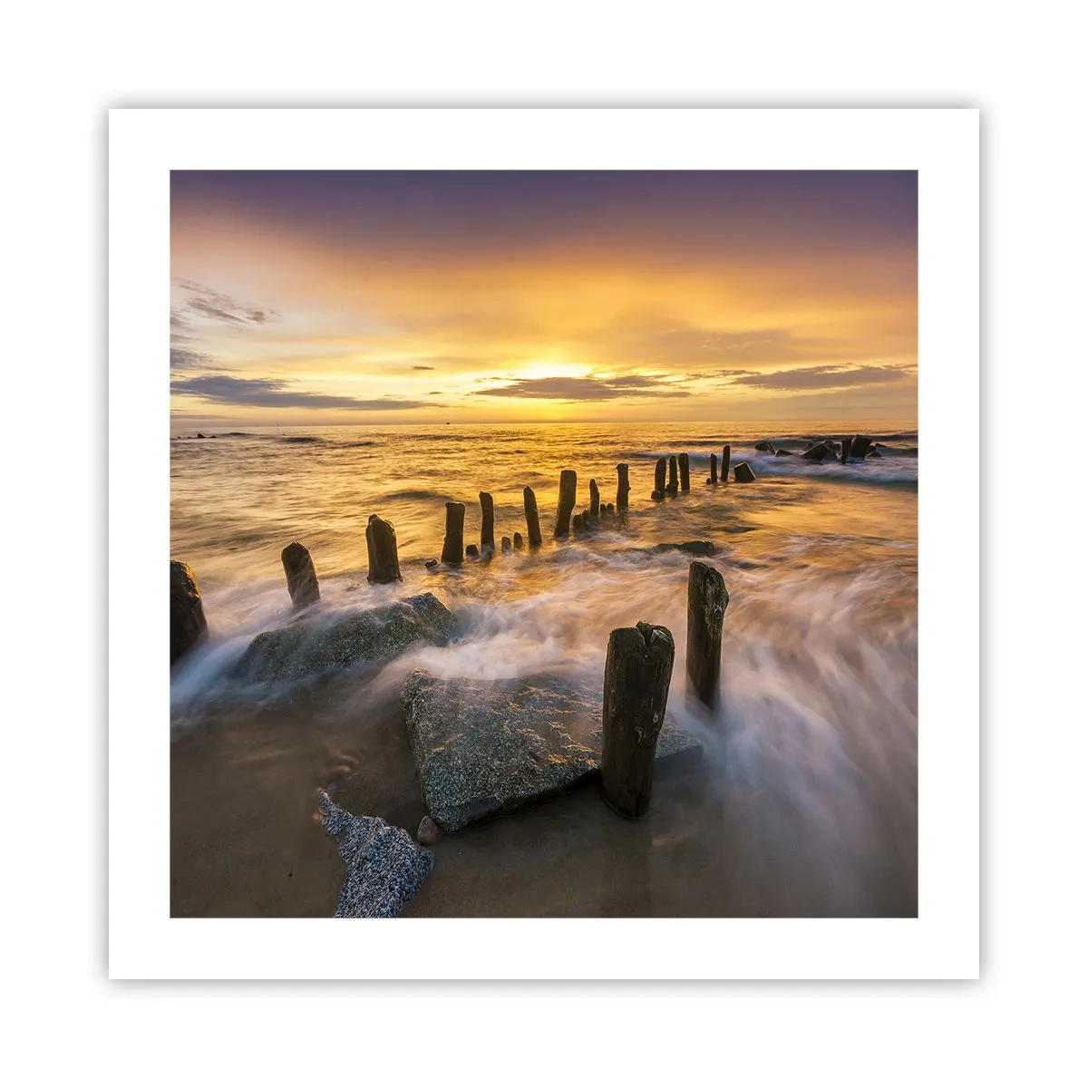 Plakat - Østersøens rå skønhed - 50x50 cm