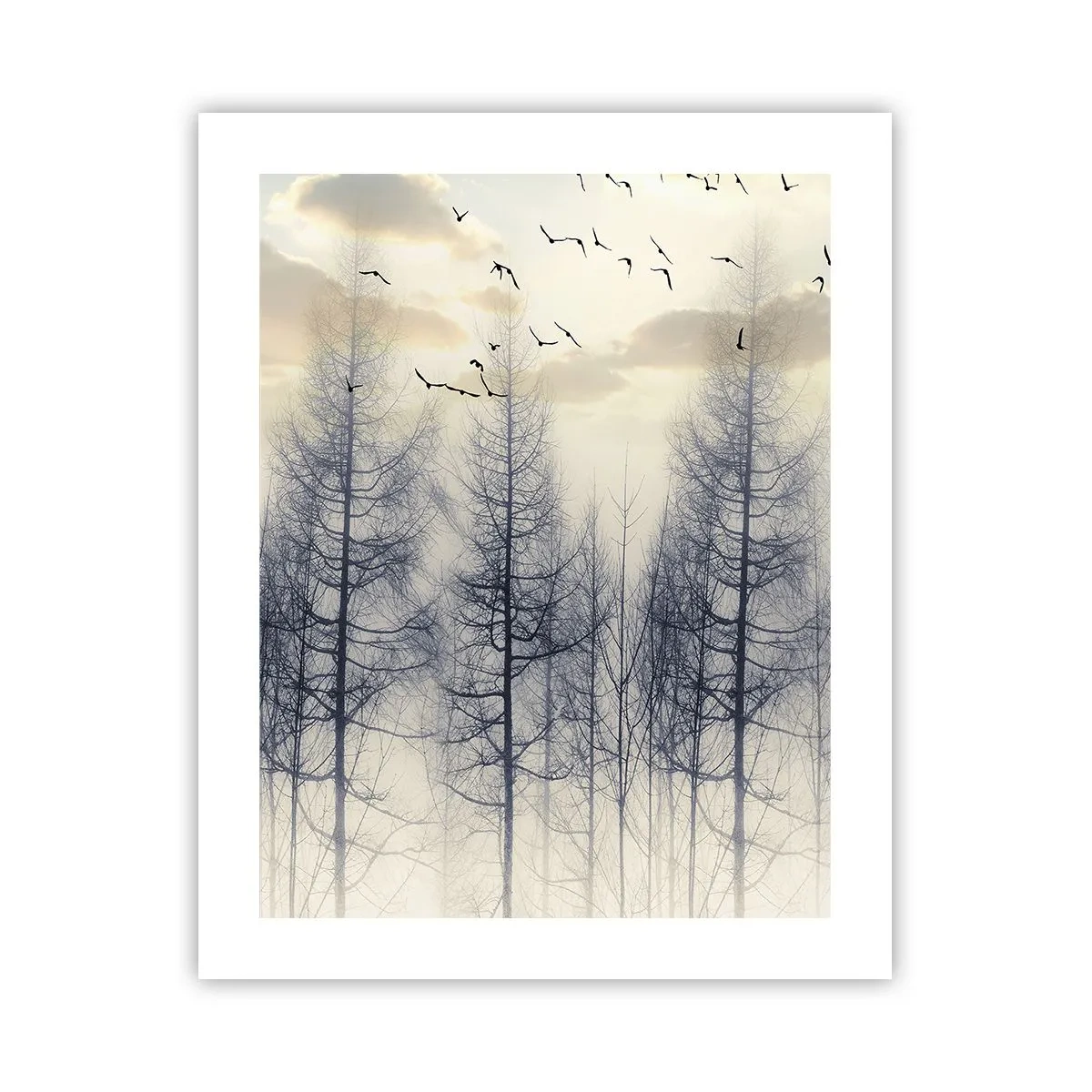 Plakat - Skovånder - 40x50 cm