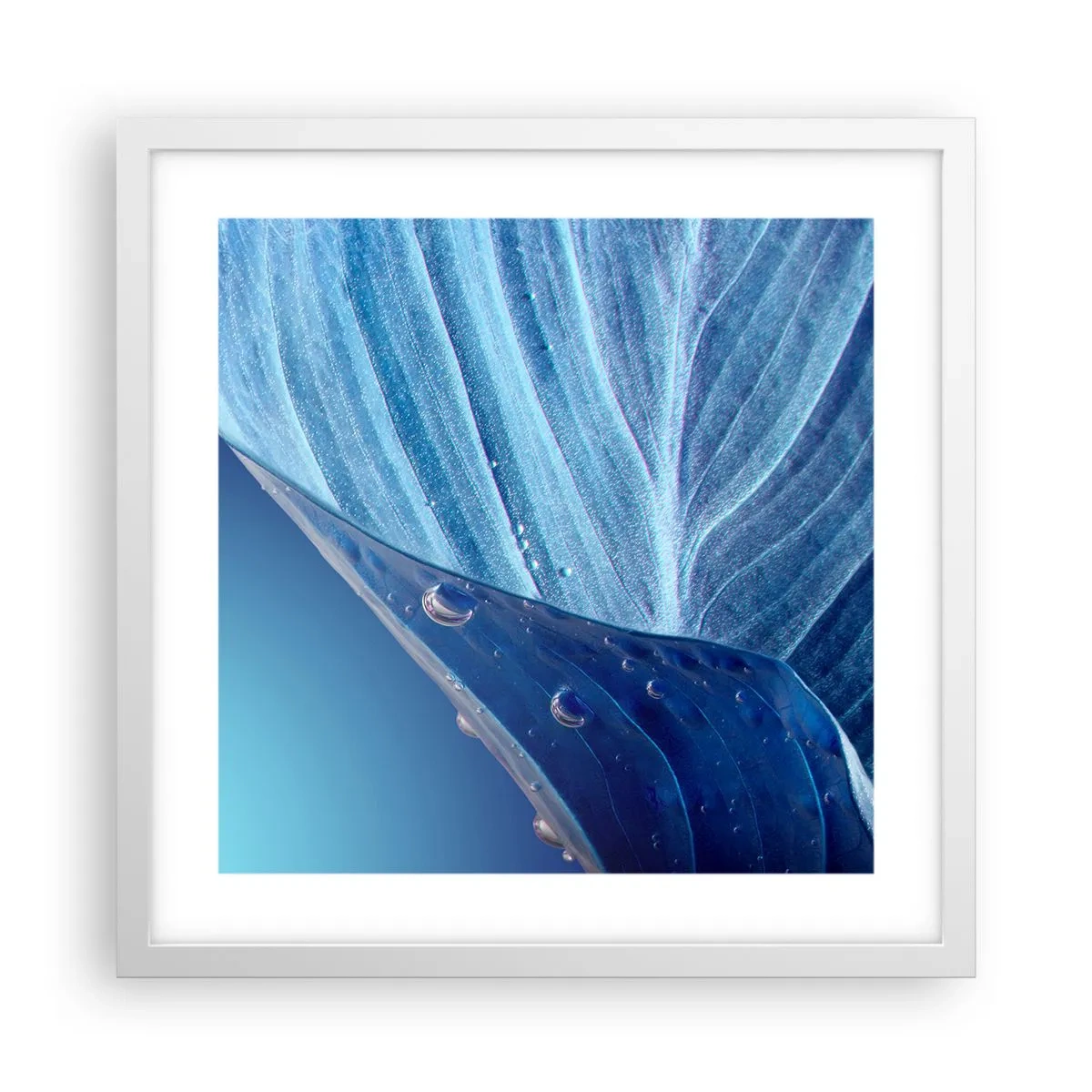 Plakat i hvid ramme - Skjulte dråber af blåt - 40x40 cm