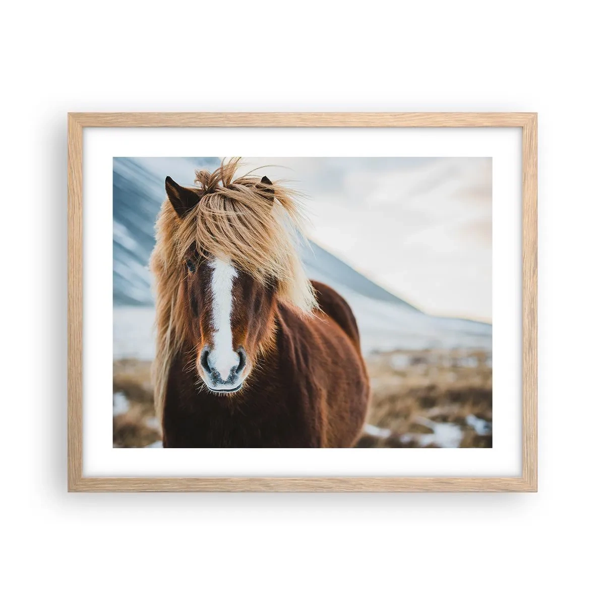 Plakat i ramme af lyst egetræ - Kan du mærke friheden? - 50x40 cm