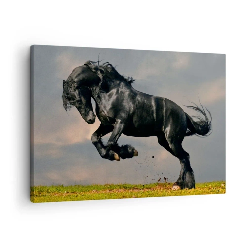Lærredstryk - Billede på lærred - En mørk hest i et dynamisk spring mod himlen - 70x50cm - Smuk og fri - Moderne vægdekoration til stue og soveværelse ARTTOR