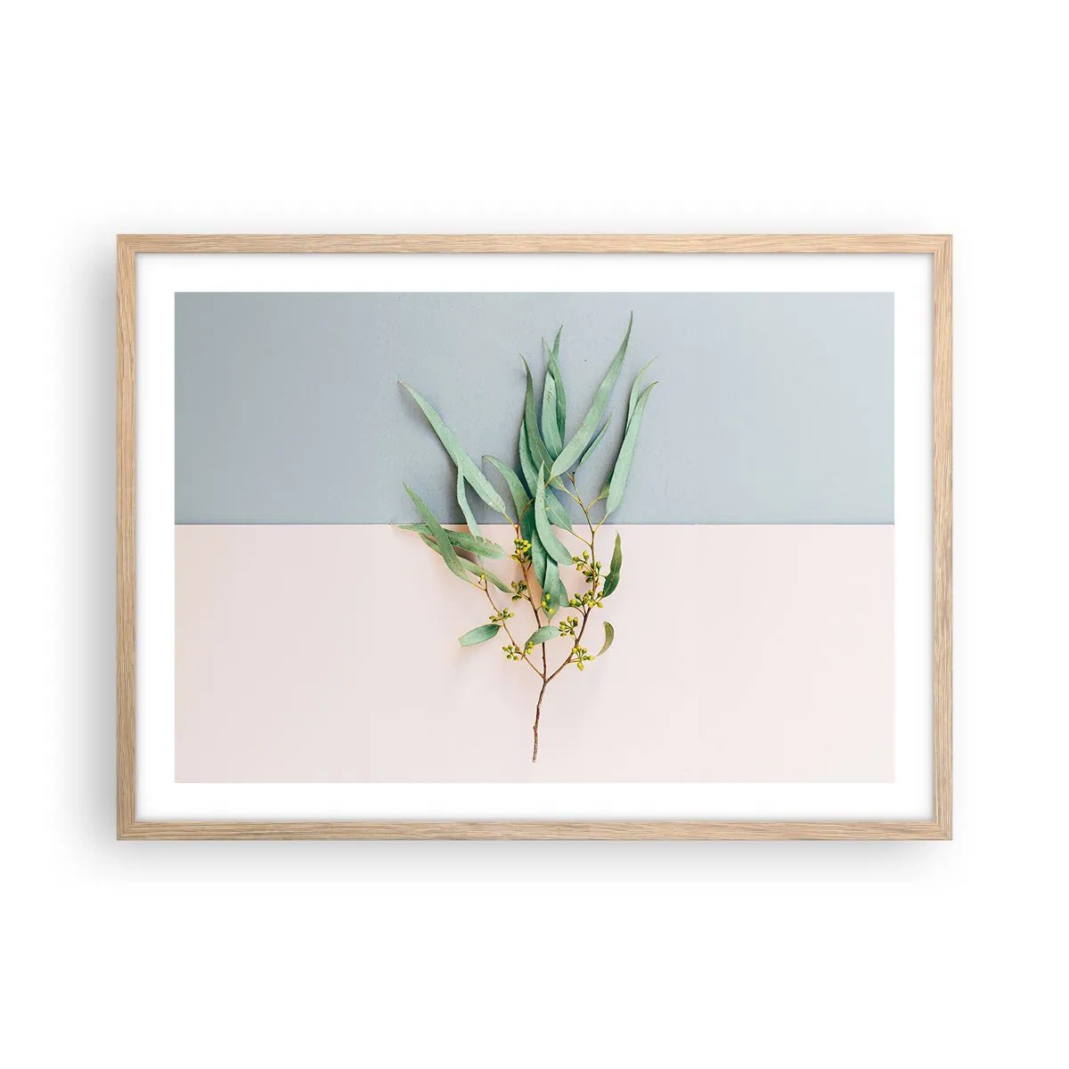 Plakat i ramme af lyst egetræ - Pastelfarvernes subtilitet - 70x50 cm