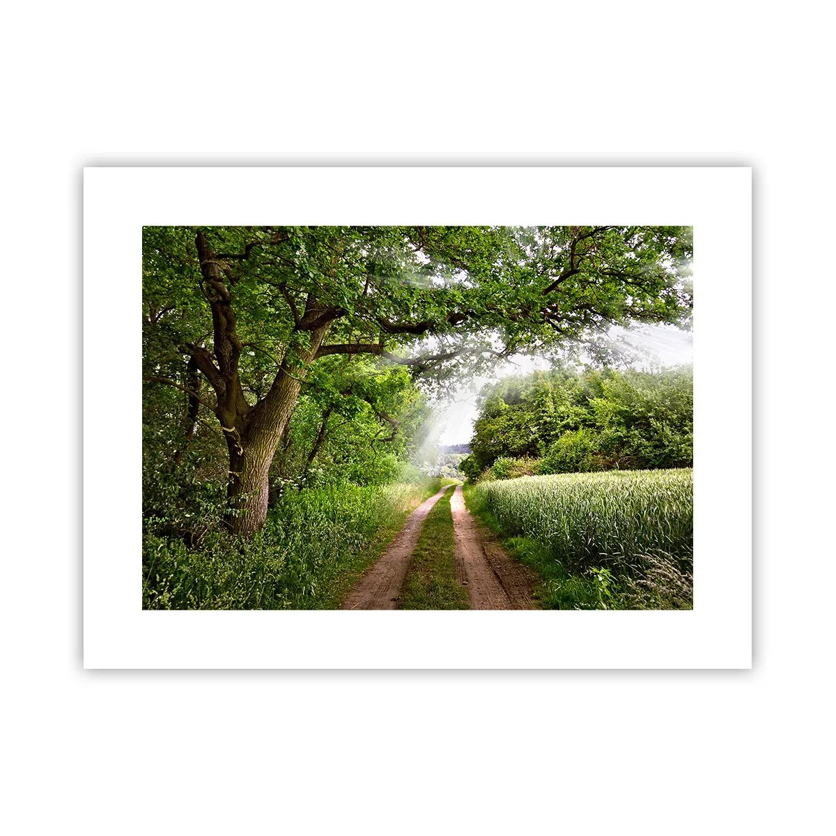 Plakat - Et in Arcadia ego - 40x30 cm